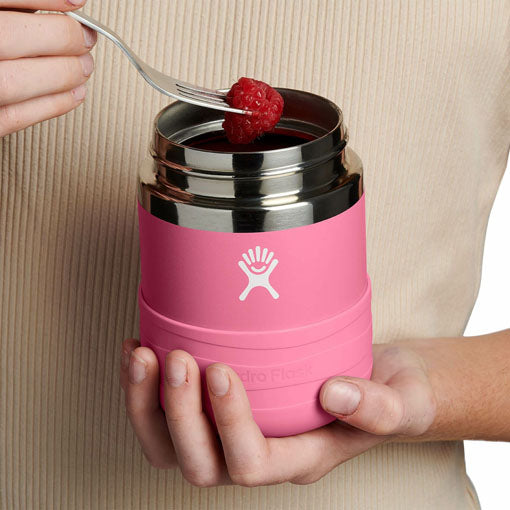 Kids Little Lunch Bundle - Dahlia [New Color]